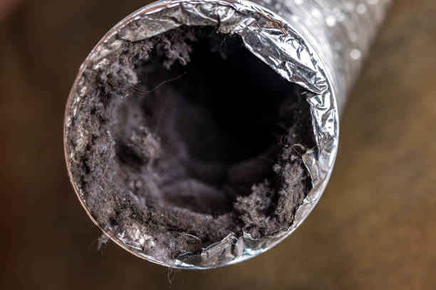 Best Affordable HVAC Duct Cleaning  in Lusk, WY